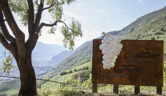 REBE Passeggiata con degustazione