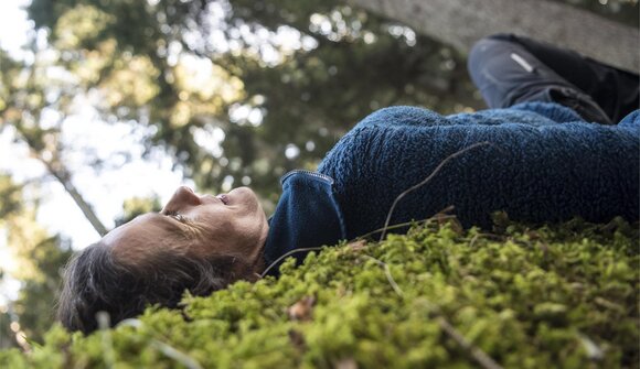 Alpine Forest bathing