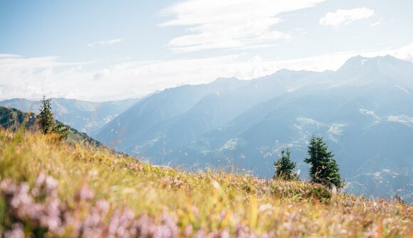 Von Vernuer zur urigen Obisellalm