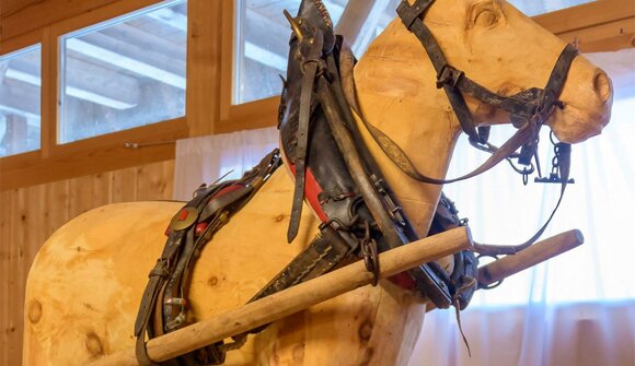 Visita al Museo degli Haflinger