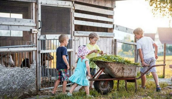 Farmer for a day at the Faller farm