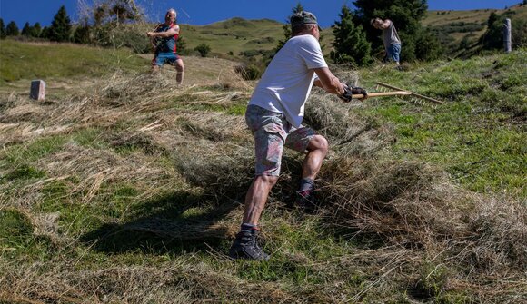 Experience mountain hay harvesting