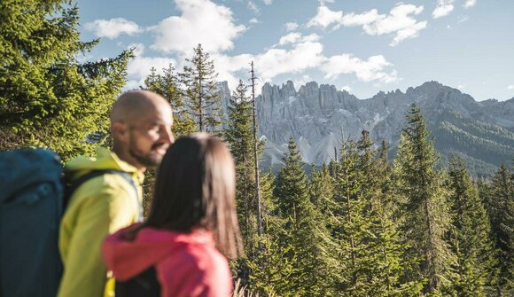 Wald-Wanderung zu Kraftorten