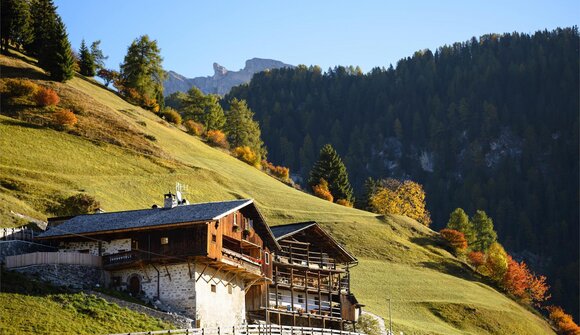 Rundgang der traditionellen Höfe