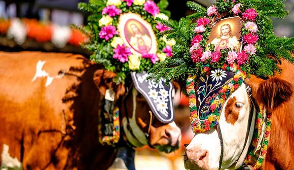 Transhumance Festival on Salto