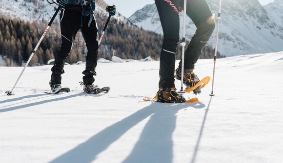 Schneeschuh-Abenteuer im Hinterpasseier