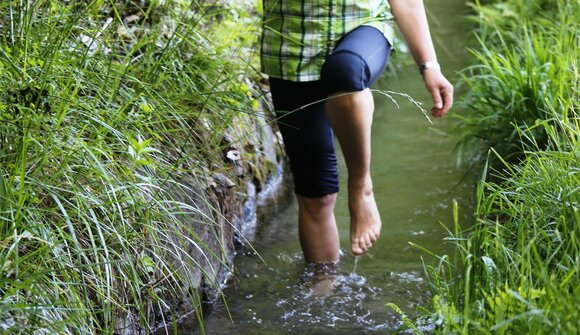 Herbal hike and water treading