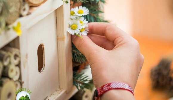 Kindernachmittag: Insektenhotel