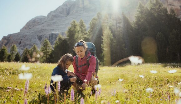 Die Dolomitfelsen für kleine Entdecker