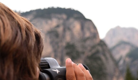 Dolomiti Ranger Avvistamento Animali