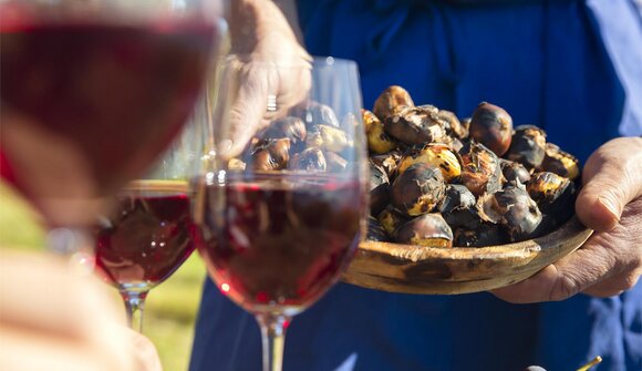 Festa delle castagne a Avigna