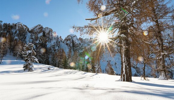 Snowshoe hike in the Latemar area