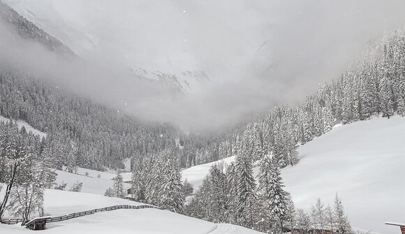 Toul Yoga - Winterliches Waldbaden