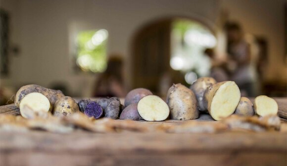 Giardinaggio incontra l’arte culinaria