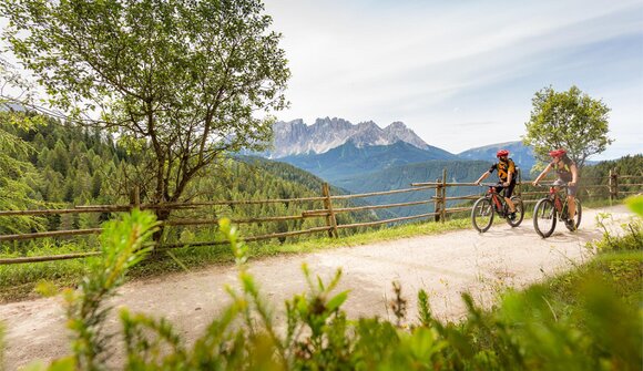 Rosadira Bike - Introduzione di base