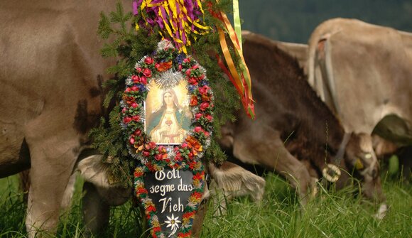 Traditionelle Almabtriebe in Fügen