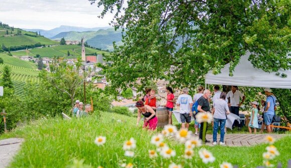 Gewürztraminer Wineday