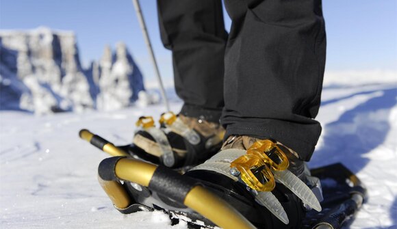 Active Day: Snowshoe Hike