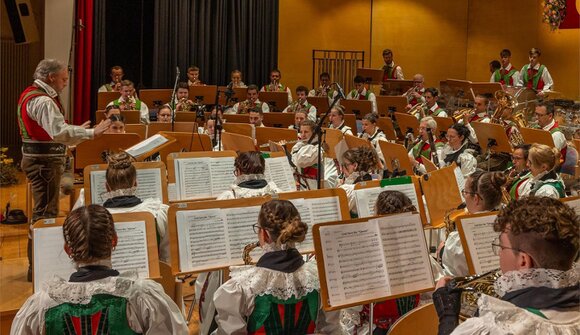 Concerto della banda musicale