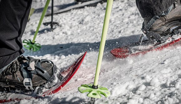 Snowshoe hike to Haniger Schwaige hut