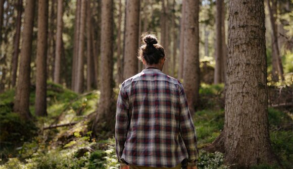 The forest: the mushroom's perspective