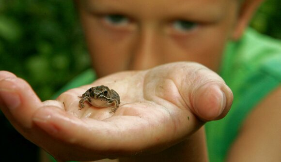 Lake Levico, a treasure of biodiversity