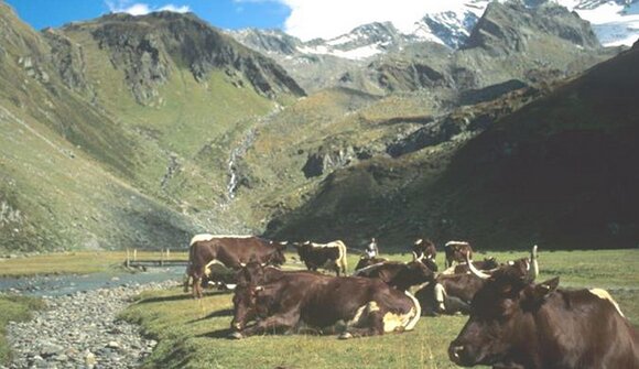 Escursione: Malghe oltre i confini