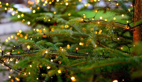 Accensione dell'albero e Canti Natalizi