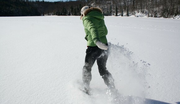 Panorama-Schneeschuhwanderung