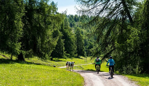 Corso base di tecnica E-MTB