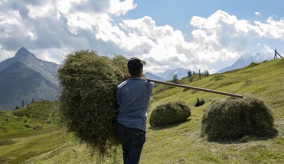 Green Living, Golden Hay