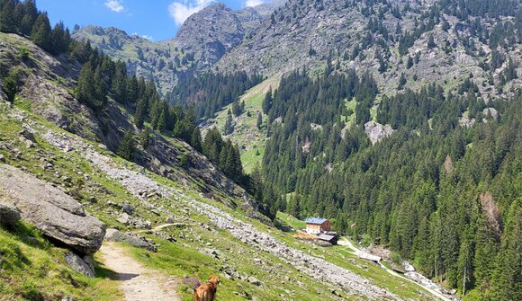 Wanderung am Meraner Höhenweg