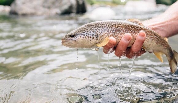 Auf den Spuren des Wassers