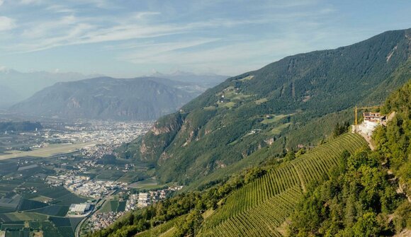 Visita guidata e degustazione vini