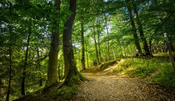 Un'escursione tra storia e natura