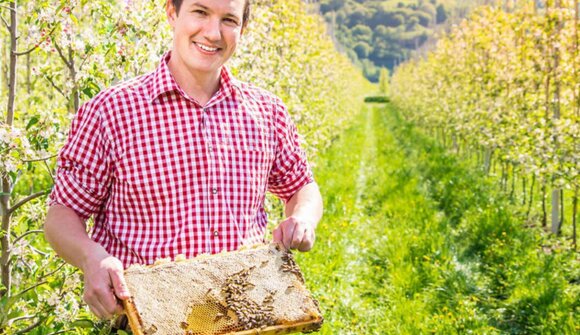 Guided tour with the beekeeper