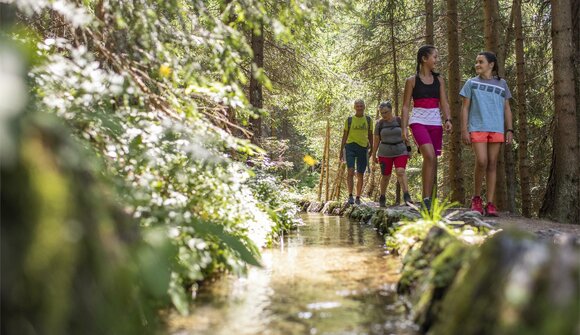 Nature Adventure Hiking