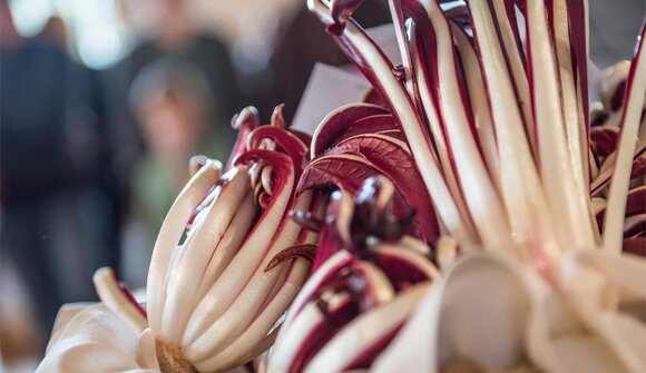 Bunkerführung mit Radicchio-Aperitif