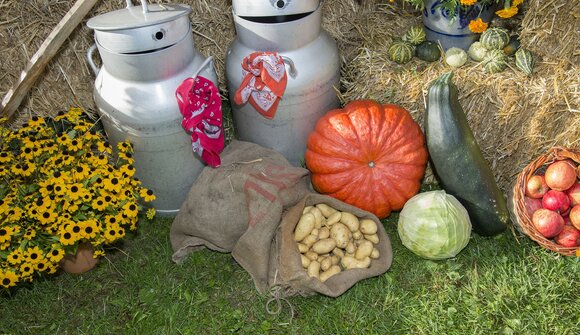 Autumn festival in Brentonico