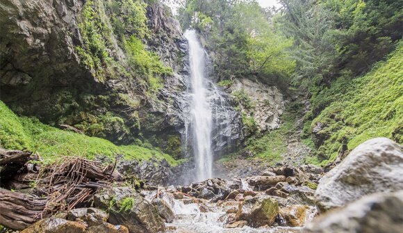 Forest bathing by the waterfall