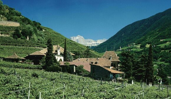 Visita e degustazione vini: Waldgries