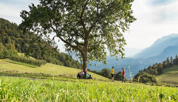 Escursioni guidate "Törggelen"