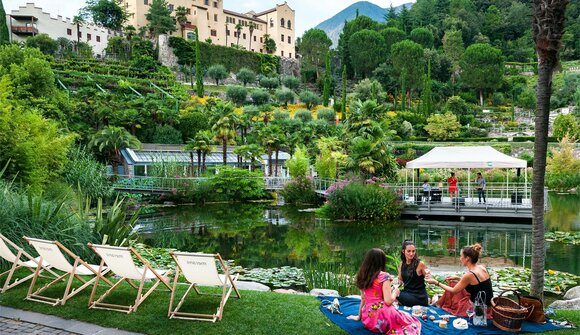 Picnic at the Water Lily Pond