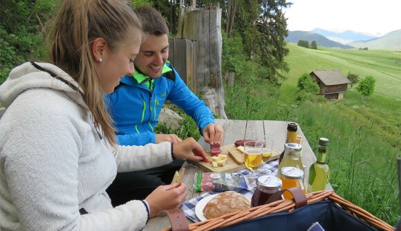 Dolomites Picnic