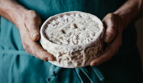 Graukäse vom Hof Lüch Chi Pra