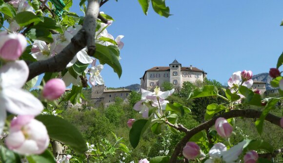 Capolinea Castel Thun