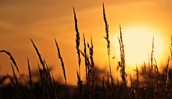 Il tramonto a Monte Cavallo