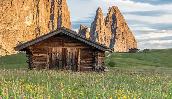 Blumenwanderung auf der Seiser Alm