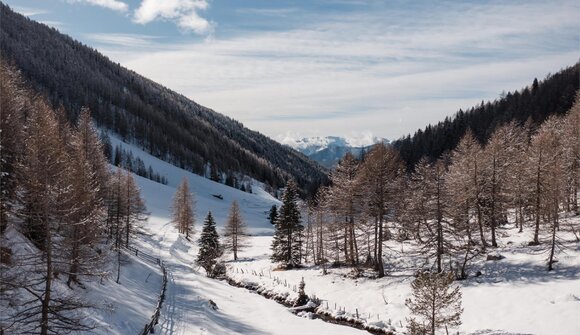 Geführte Winterwanderung in Meransen