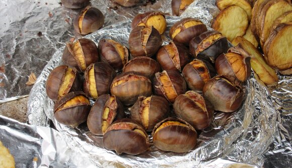 Chestnut festival in Nago